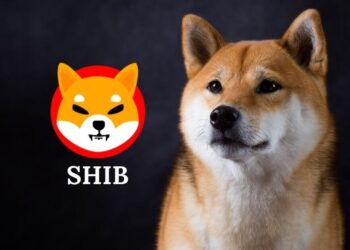 Critical Support Zone for Shiba Inu Will $0.0000185 to $0.0000212 Hold