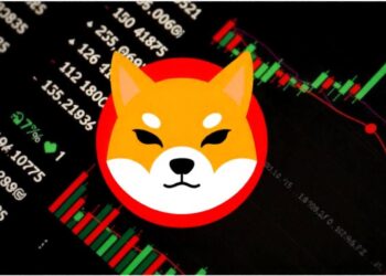 Shiba Inu’s Next Move Hinges on This Historic Price Zone