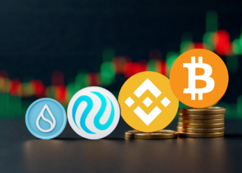 With $SUI and $BNB Showing Minor Losses, Will BTC and INJ Continue to Dominate