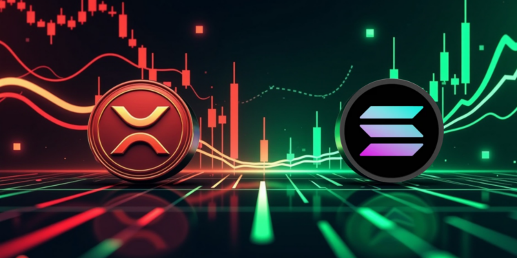 XRP and Solana Face Minor Dips Amid Market Rise: A Mixed Day for Crypto