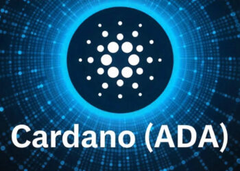 ADA Whales on the Move How 70M Transfers Impact Price