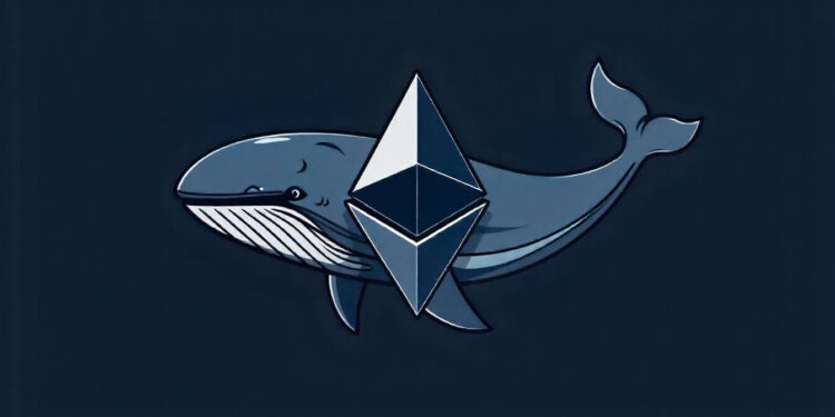 Ethereum Whale Accumulation and Volume Surges What does this mean for the ETH's price