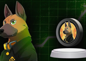 Massive Whale Investments Propel BROCCOLI – Will It Hold