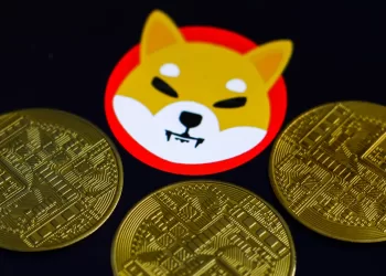 $SHIB Holding Strong While Others Tumble 50%