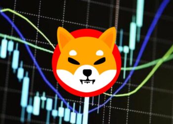 SHIB Price Prediction Can a Burn Rate Recovery Boost Prices