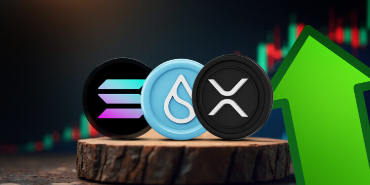 Why XRP, Solana, and Sui Are Gaining Attention from Institutions and Investors