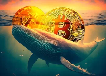 Bitcoin Whales Accumulate Again A Bullish Breakout Ahead