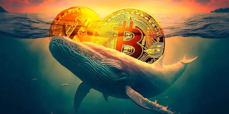 Bitcoin Whales Accumulate Again A Bullish Breakout Ahead