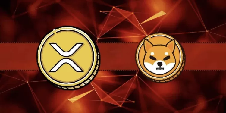 SHIB and XRP in Focus Explosive Gains or a Major Pullback