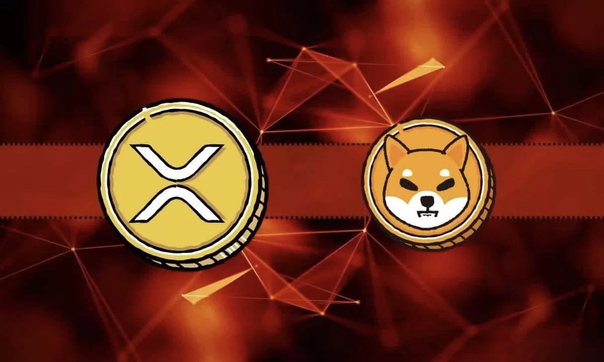 SHIB and XRP in Focus Explosive Gains or a Major Pullback