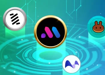 Shitcoin Resurgence Bubblemaps & DeFi Giants Surge on BNB Chain!