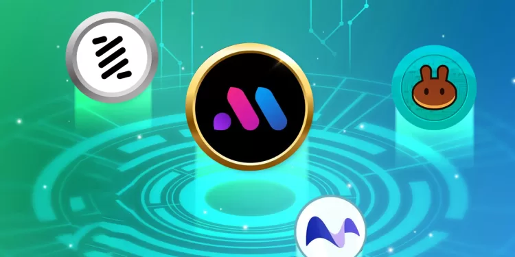 Shitcoin Resurgence Bubblemaps & DeFi Giants Surge on BNB Chain!