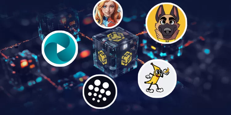 TUT, BID, and SIREN Rally as BNB Memecoins See Explosive Growth—What’s Next