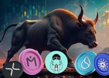 Top 5 Altcoins Poised for Massive Growth in the 2025 Crypto Bull Run
