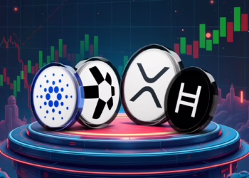 Beyond Memes 4 Altcoins Positioned for Long-Term Growth