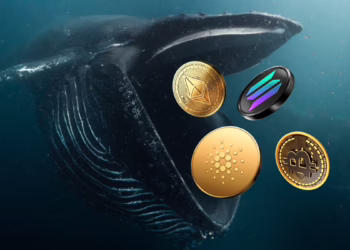 Bitcoin Stability and Solana Growth Point to Strategic Accumulation Trends