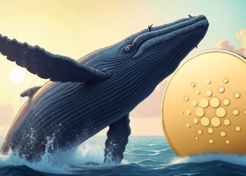 Cardano’s 2025 Budget Plan Leads to Debate as Whale Flags Treasury Concerns