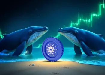 Whales Buy 180M ADA as Outflows and Market Outlook Show Strength