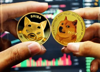 SHIB and DOGE Lead the Meme Coin