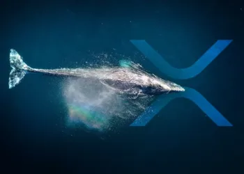 XRP Price Prediction for June 21 2025 Whale Accumulation Hints at XRP Surge Toward $3