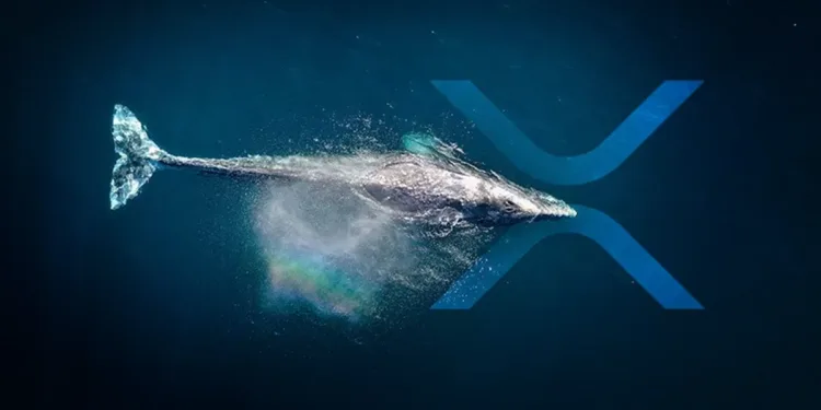 XRP Price Prediction for June 21 2025 Whale Accumulation Hints at XRP Surge Toward $3