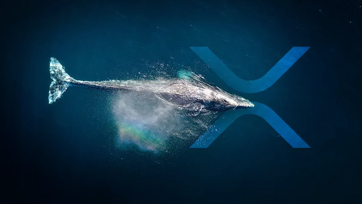 XRP Price Prediction for June 21 2025 Whale Accumulation Hints at XRP Surge Toward $3