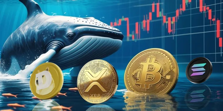 Are Crypto Traders Ignoring Dormant Bitcoin Whale Movements Despite Profit-Taking on Altcoins like XRP, DOGE, and SOL